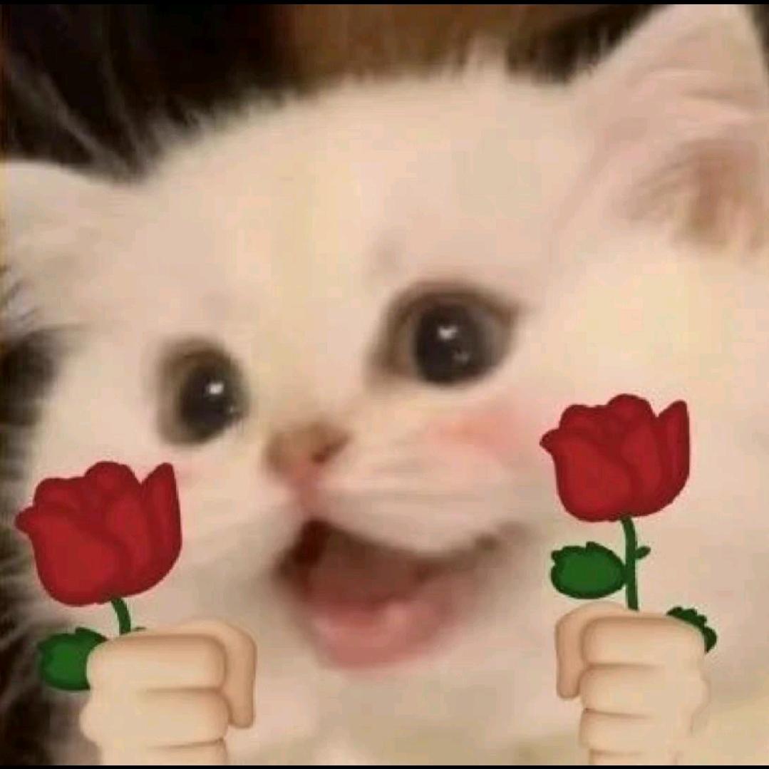 清河（小白上分）