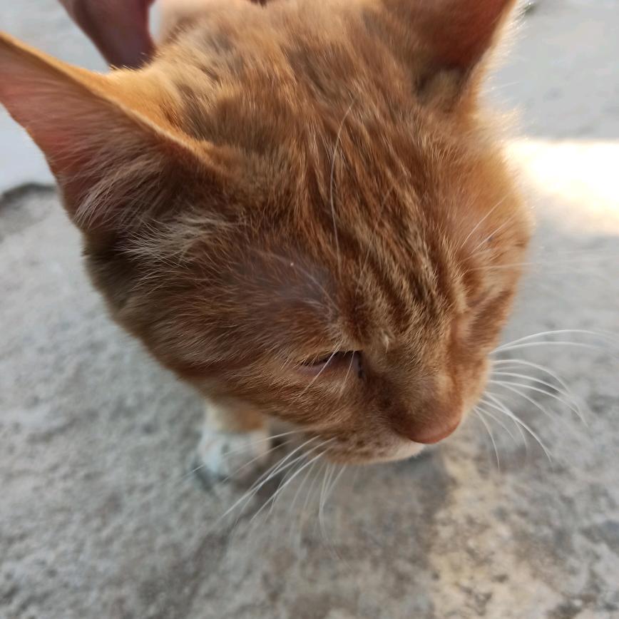 云淡风轻
