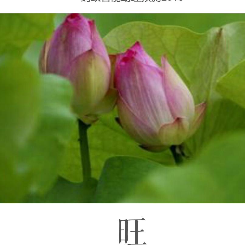 静默坚守