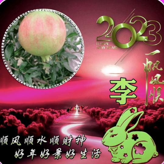 通安小李