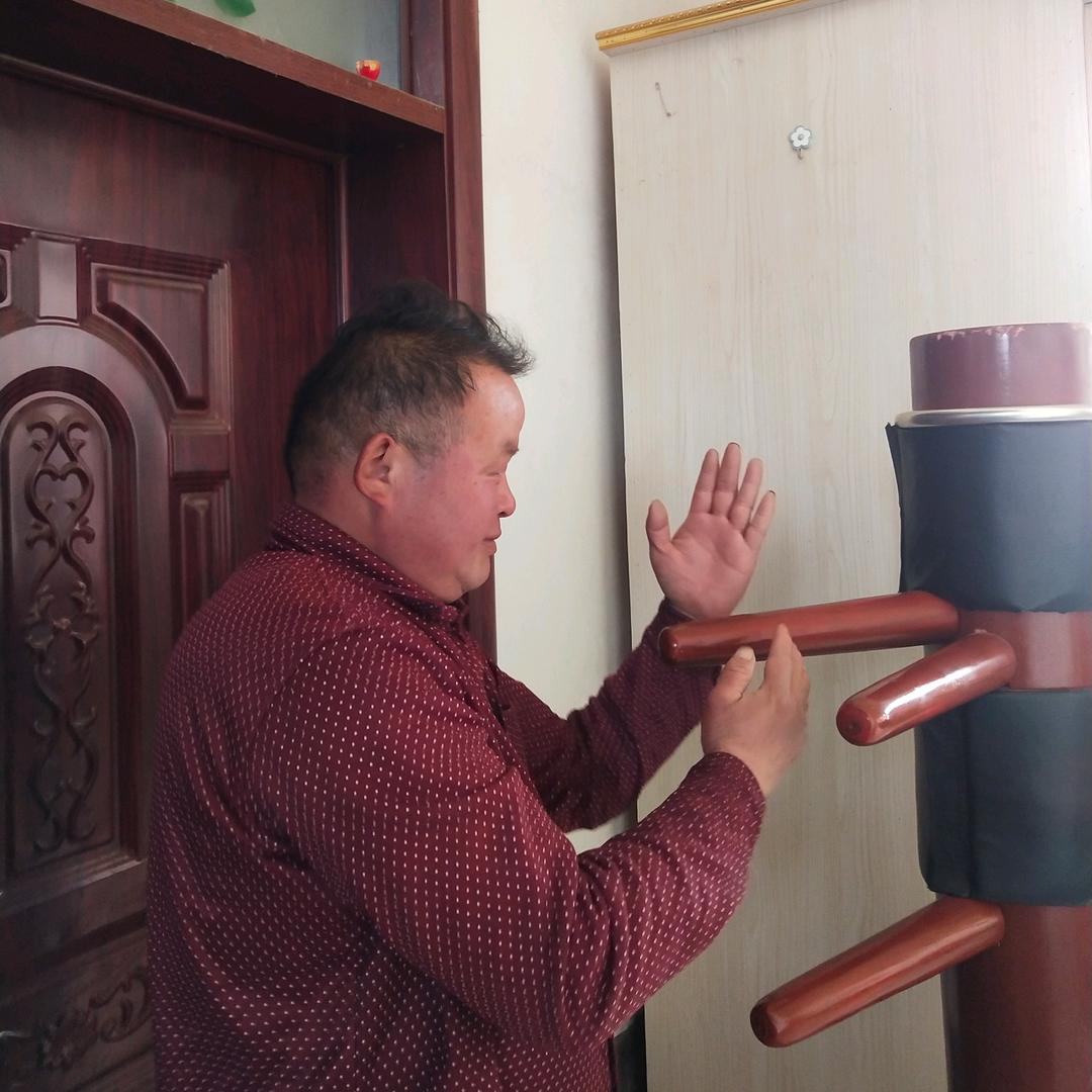 咏春拳，农民哥日字冲拳