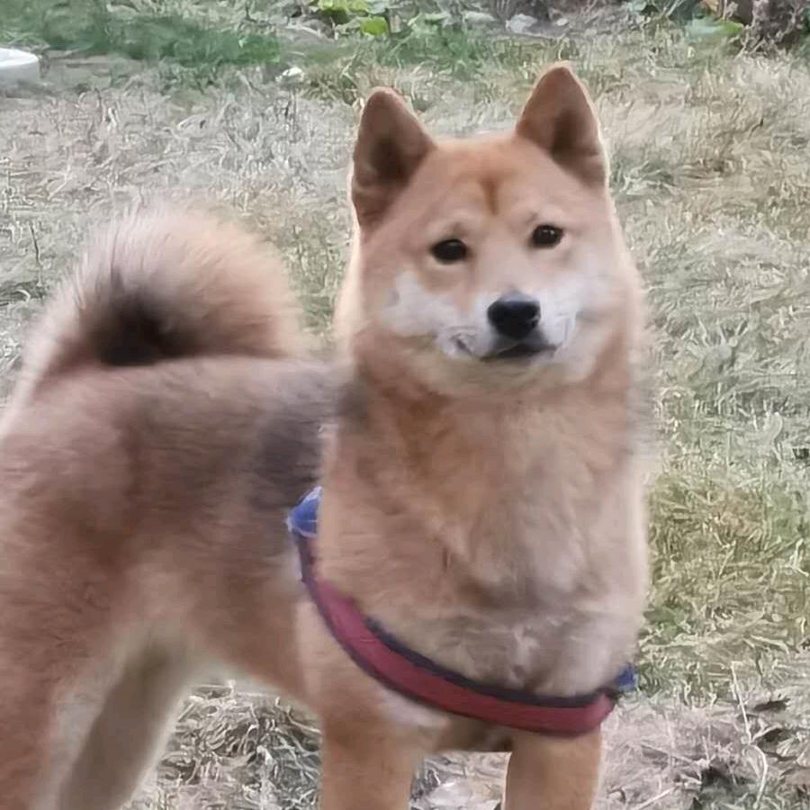 沙粒☆往事如烟