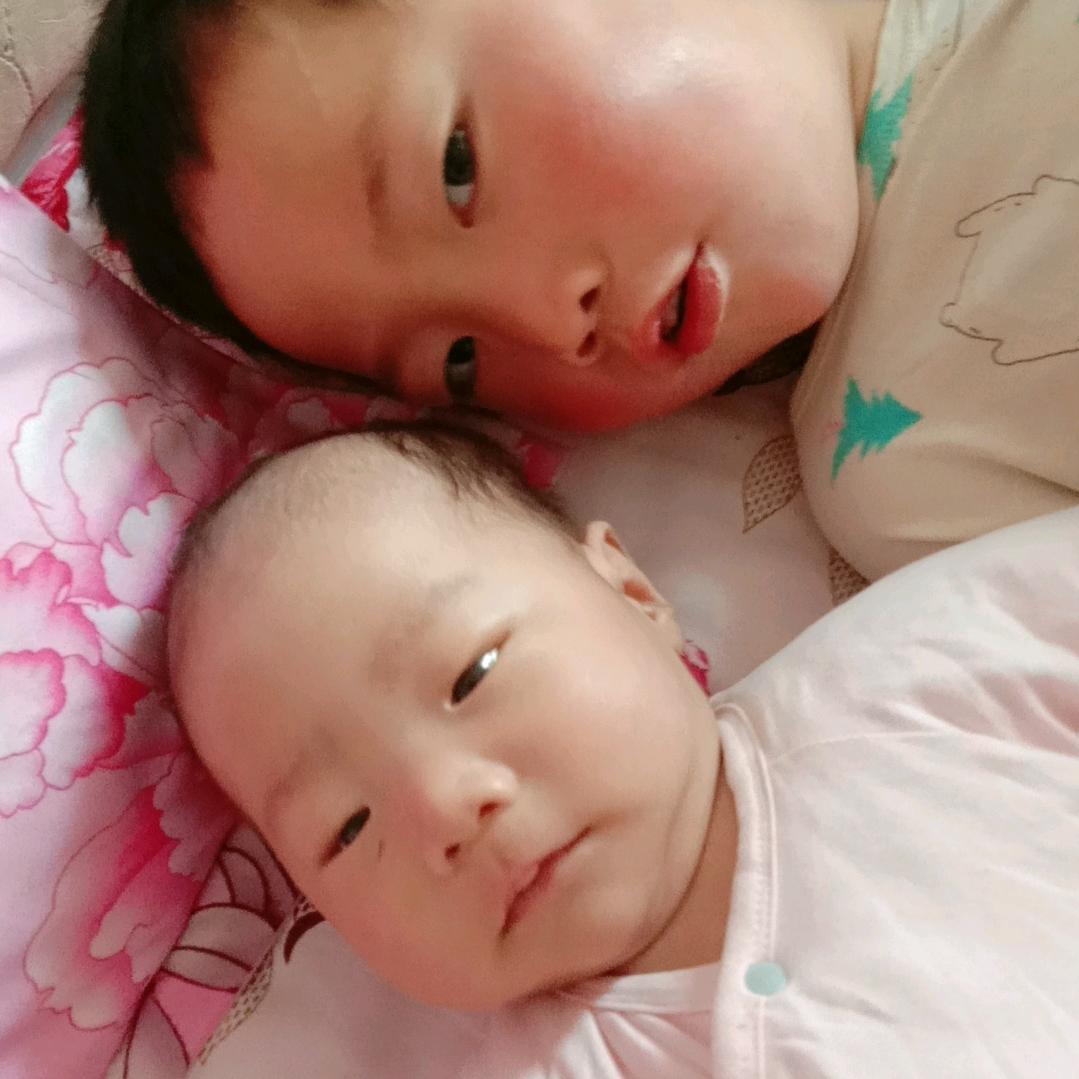 寻梦人
