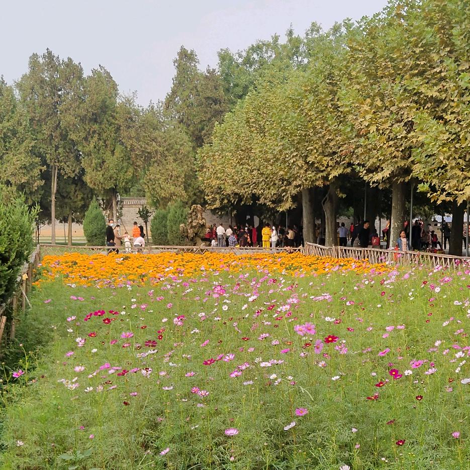 花好月圆✔✔