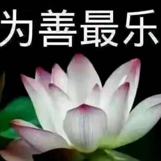 各種佛像神像貼金，彩繪，打底，番新，等