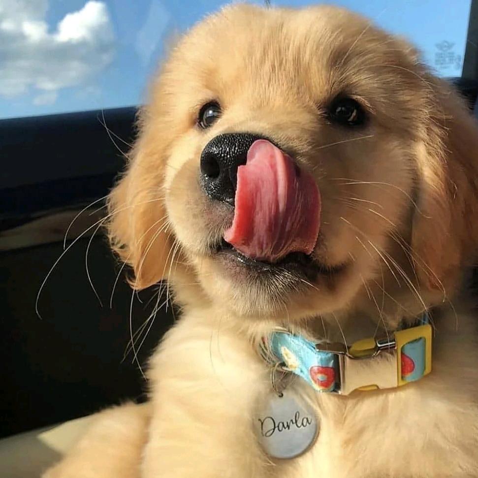 🦴
