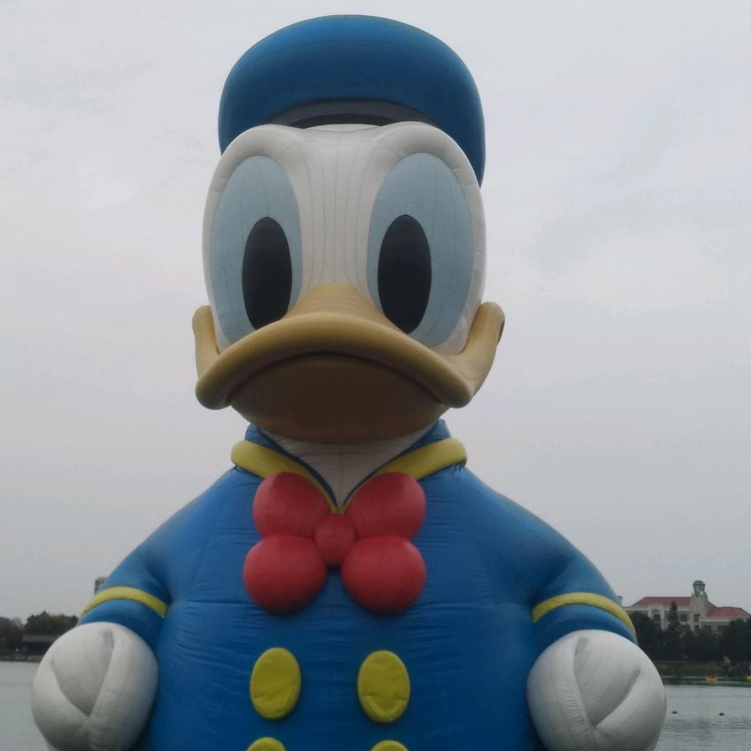 每天都是新的一天