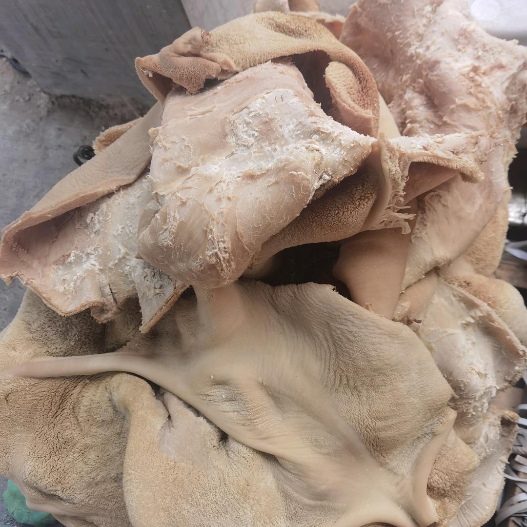 专业牛羊副