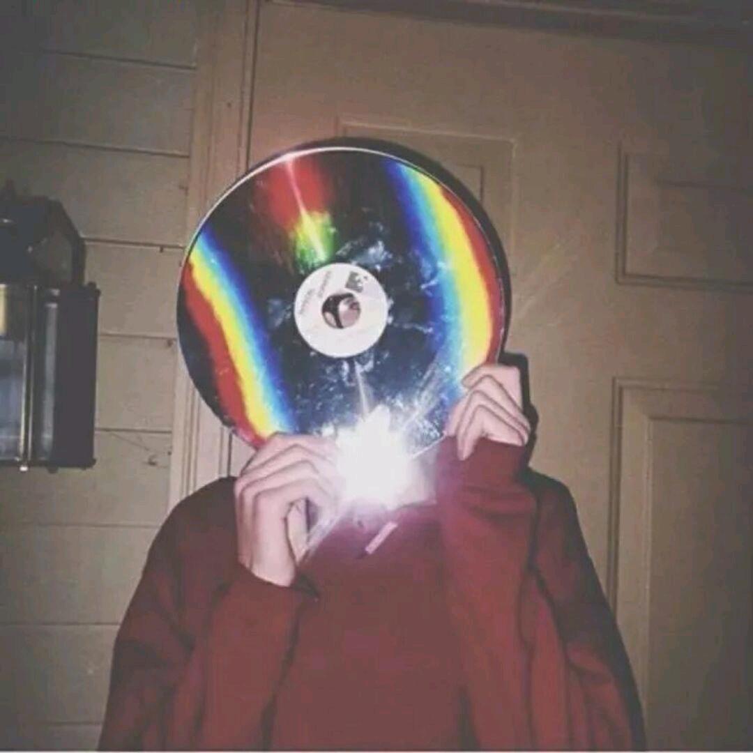 追不上尾巴的猫