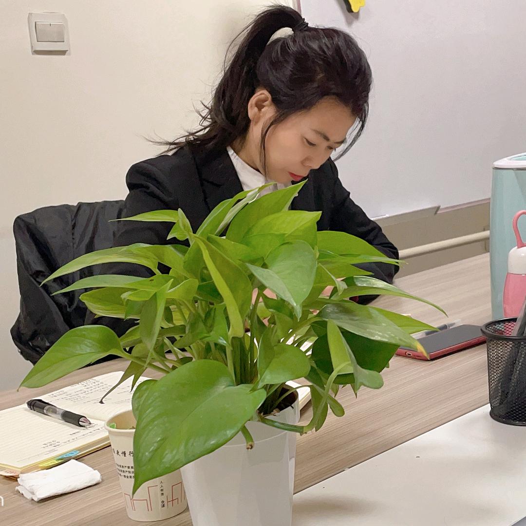 房屋咨询找小云