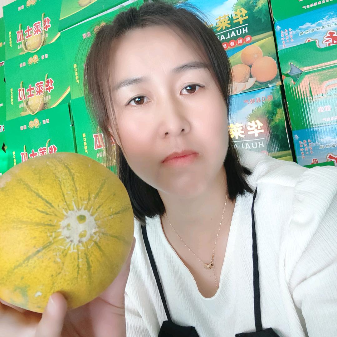 云在飞