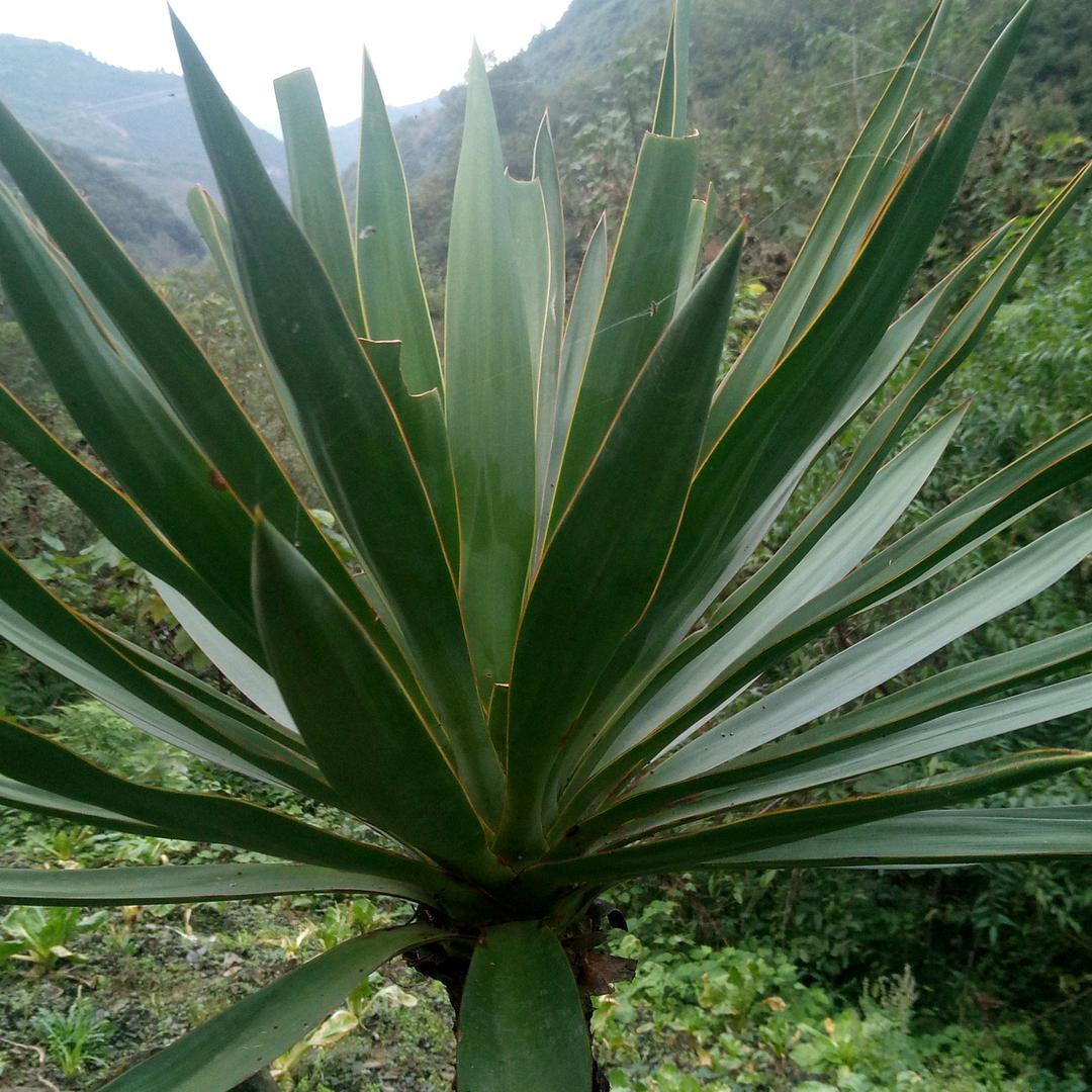 健康平安就是福