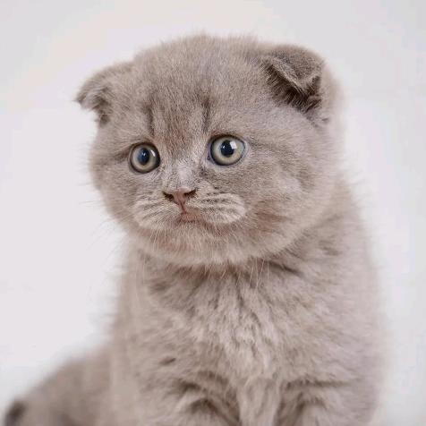 小拇指的约定🙌