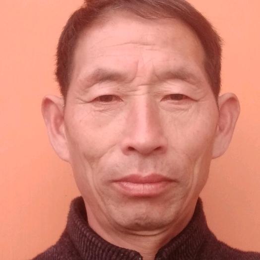 劉