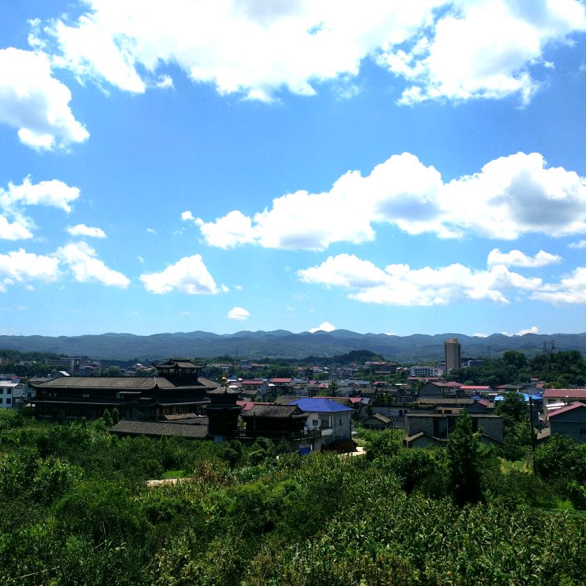 冰狼