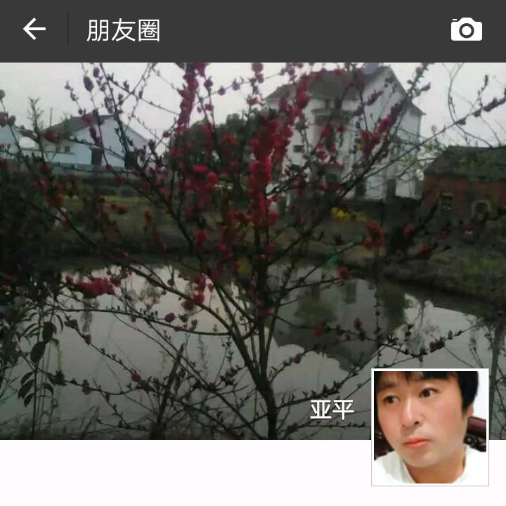 亚平