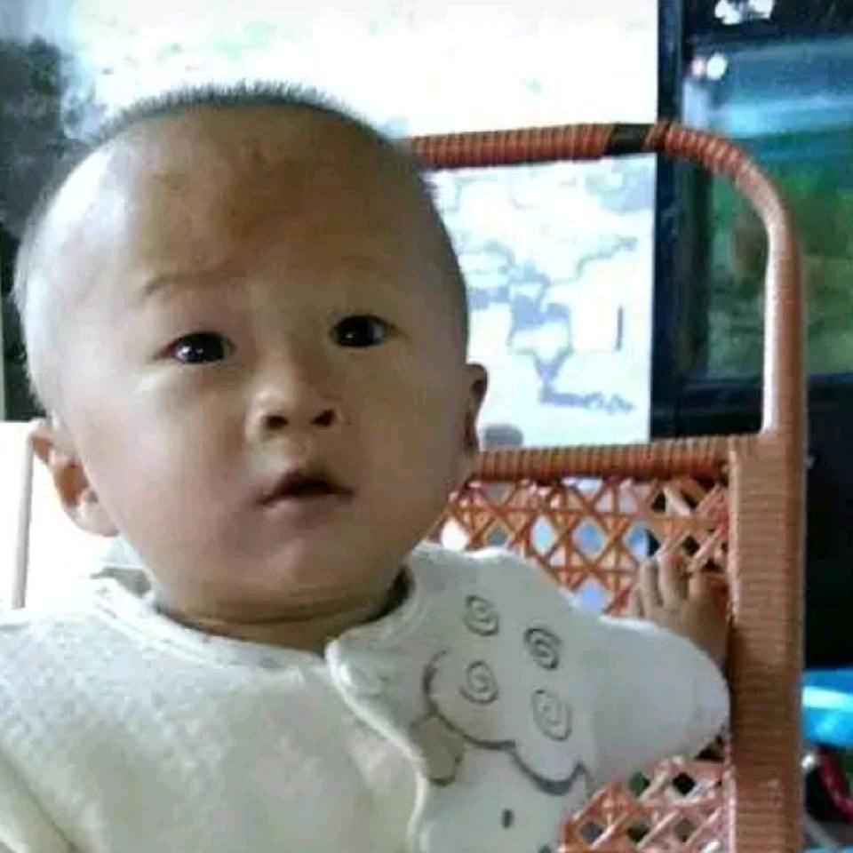 木材供应