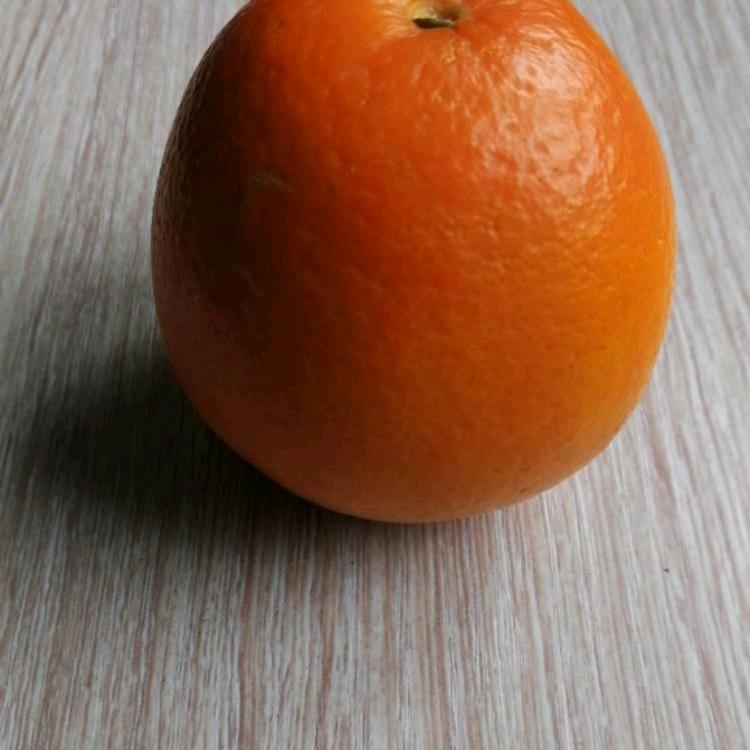 驷马难追
