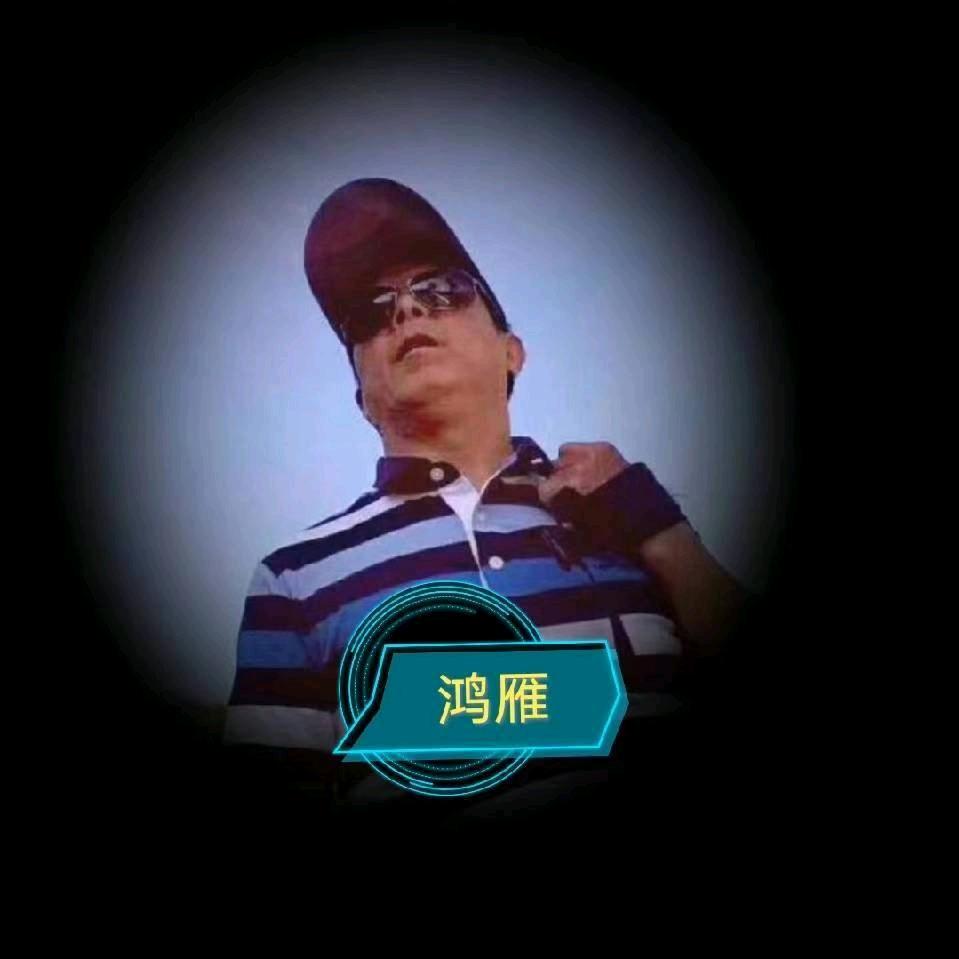 鸿雁来了