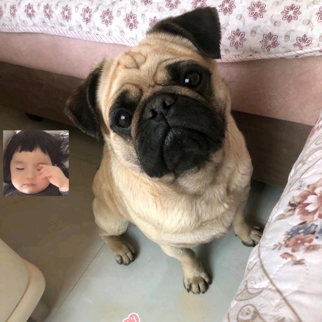 快乐晴晴仔(国企打工版)