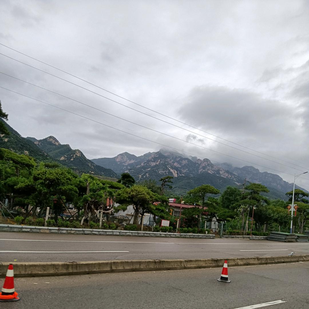 靖哥（慢热喜静）