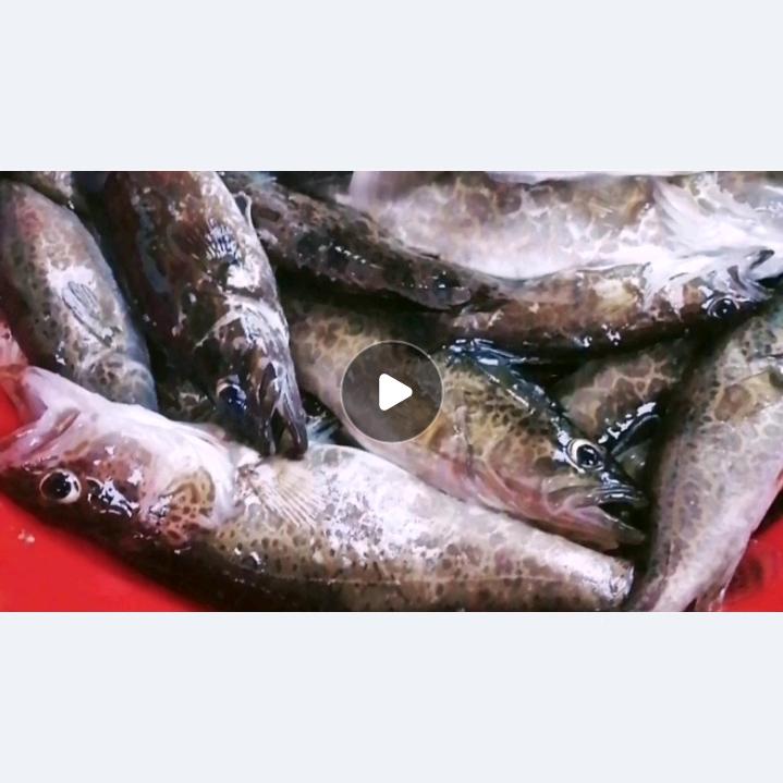绿色土特产