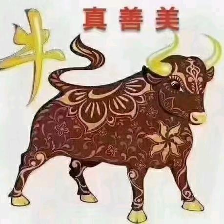 A专业墙纸，壁布施工