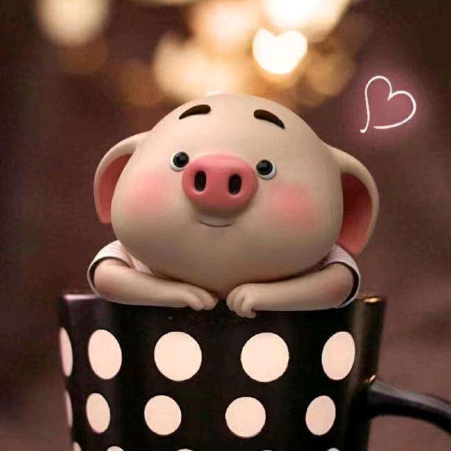 👑小🐷🐷👑