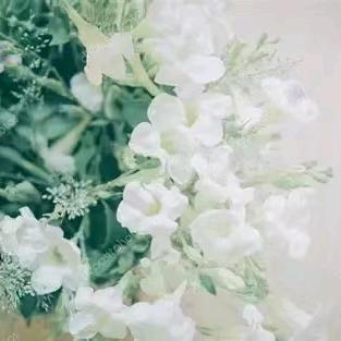 老陈的治愈生活