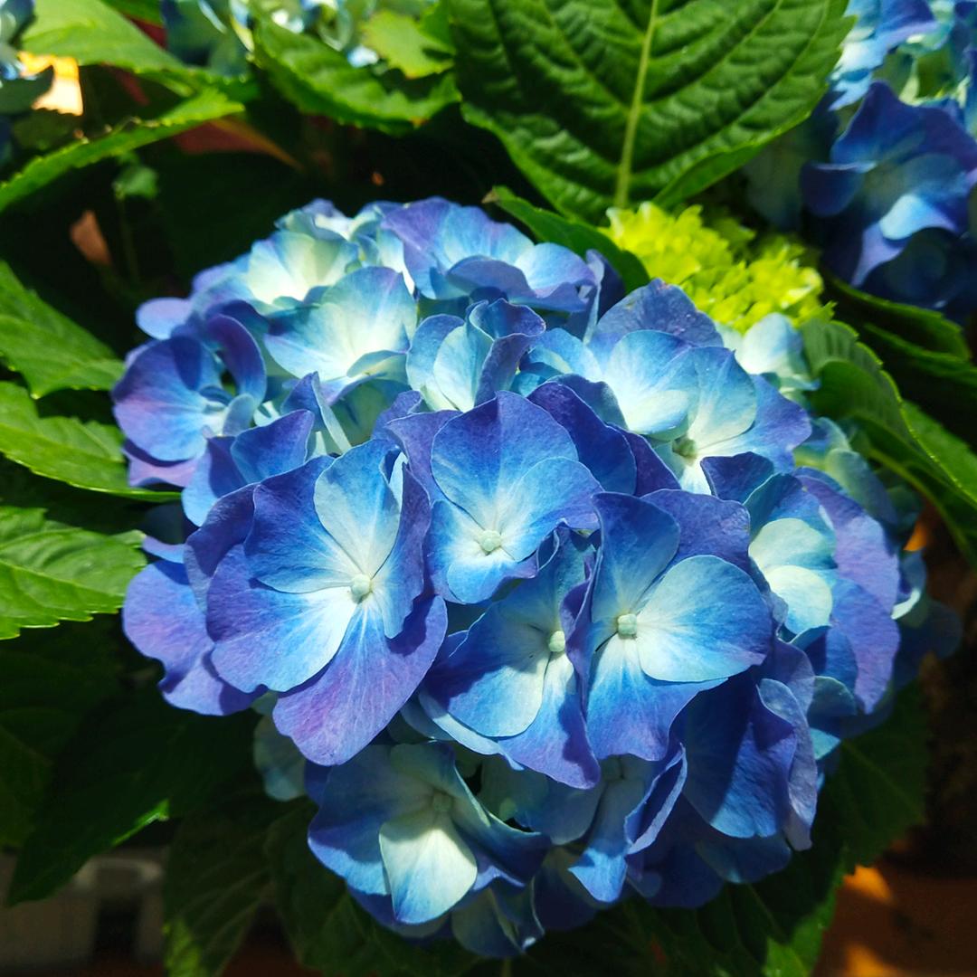 🥀ঞ李尚王来₅₂₀💞࿐