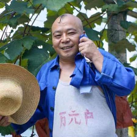 侗乡二哥