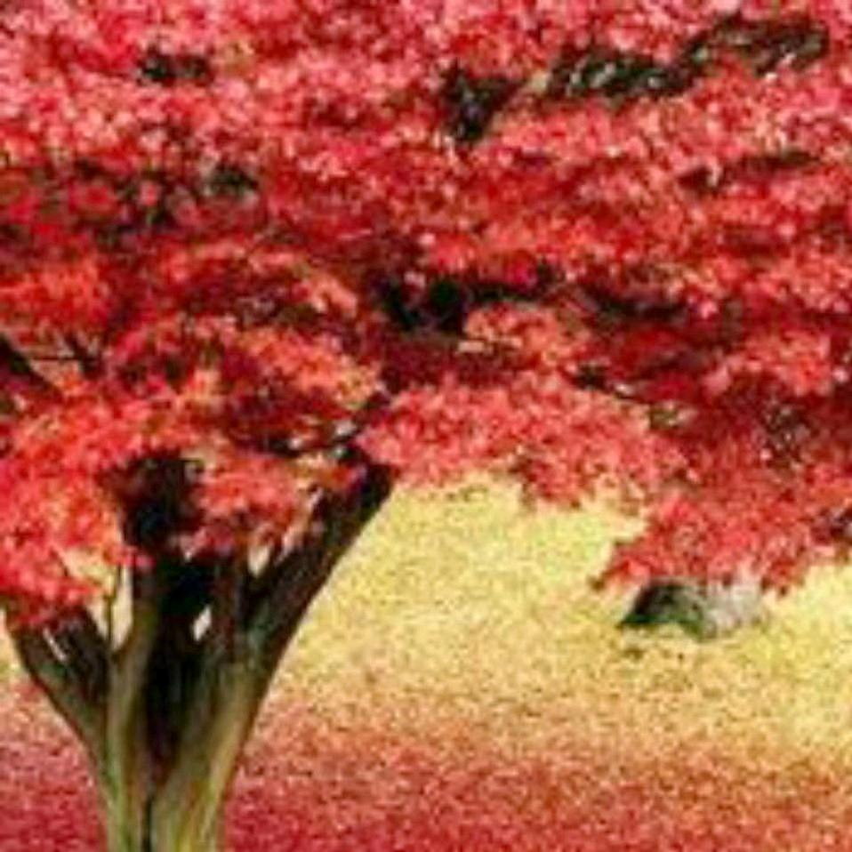 日照时亮找房（一手楼盘+二手房）