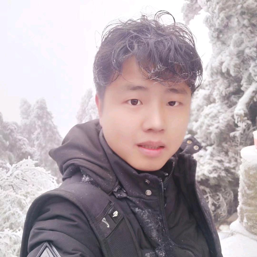 飞法法抓机