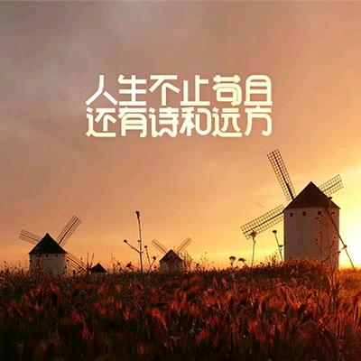 乘风起