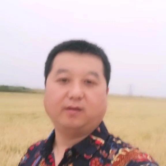长武波哥