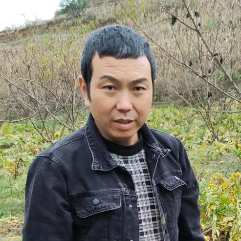 梁飞飞(毛慈菇中药材)  飞格种植农