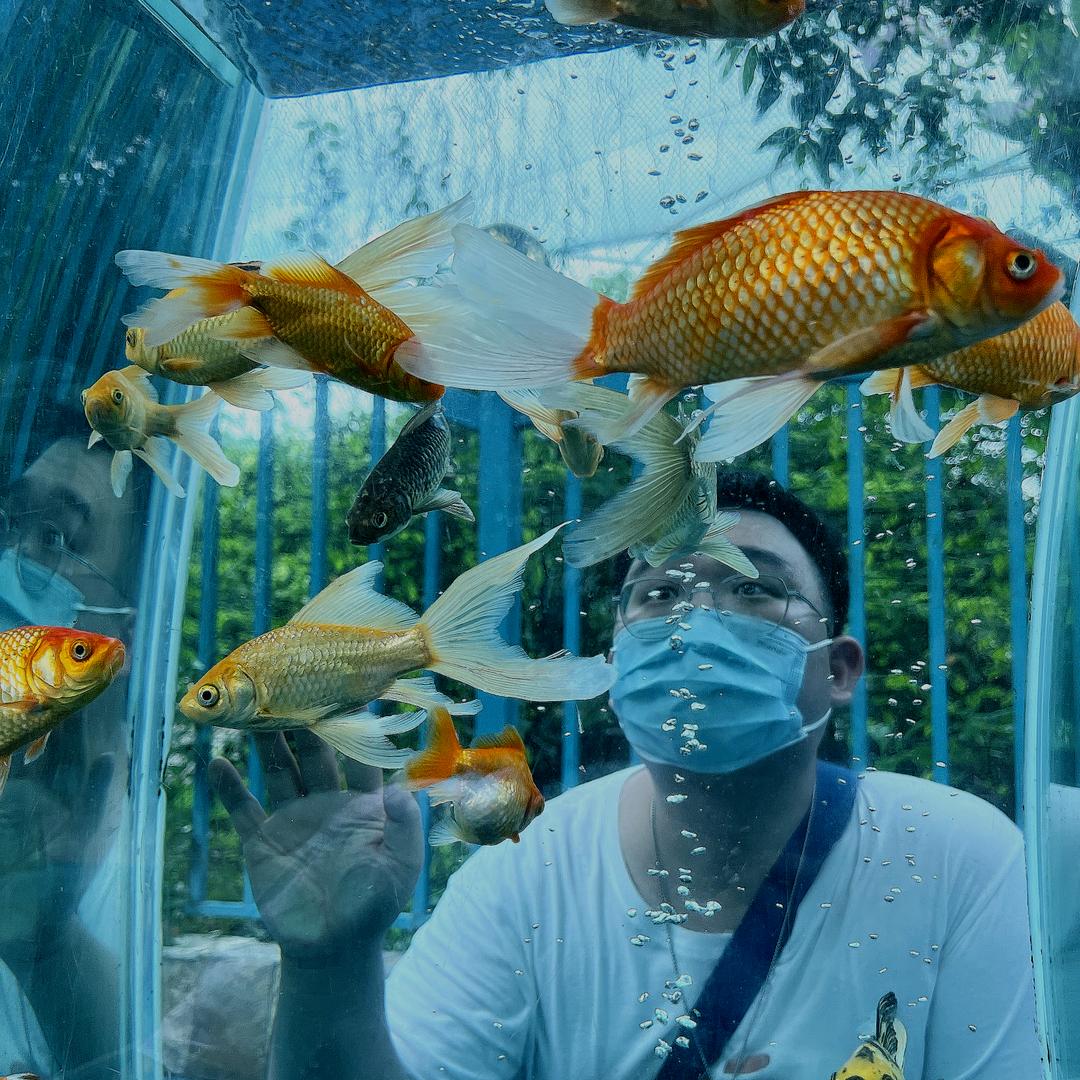 Jeary-z🌈（闲出P版）