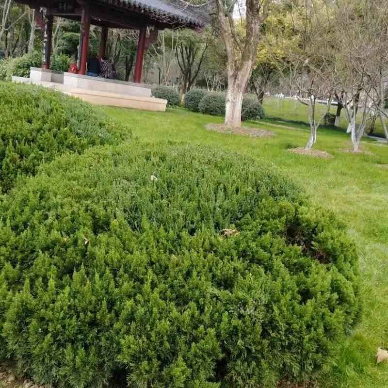 留在心里