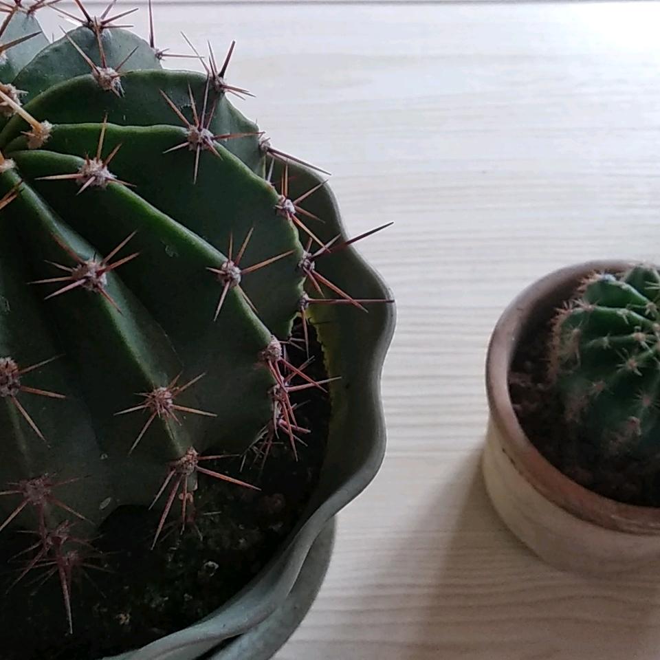 有梦就好💖你们