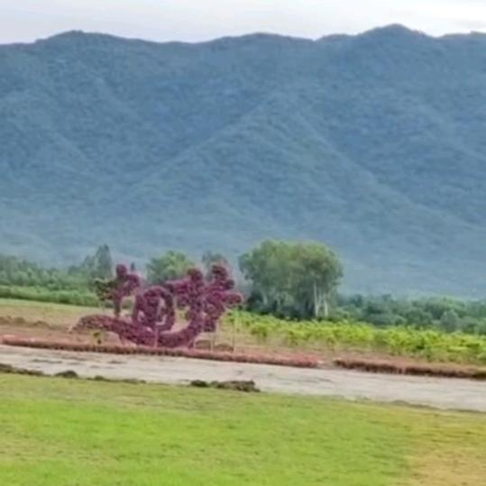 姓陈