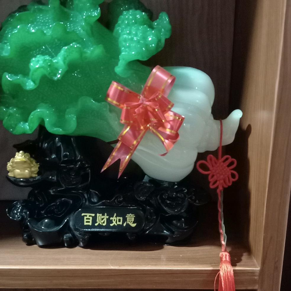 珊瑚姐