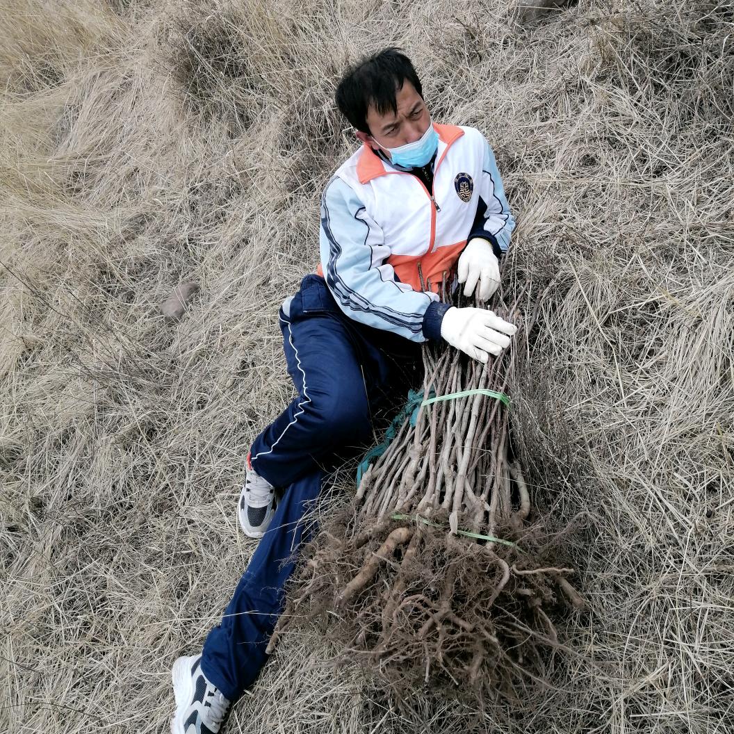 手机用户92781823015