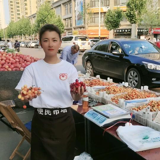 金凤凰