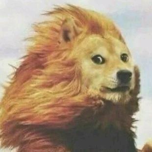 雄狮