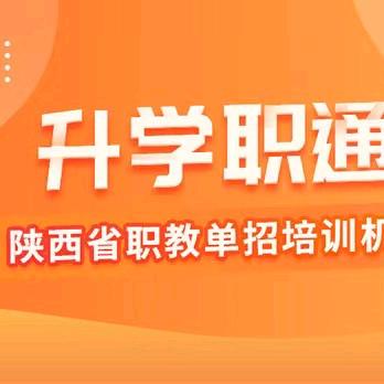 职教升学王校长（陕西单招）