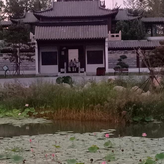 开心