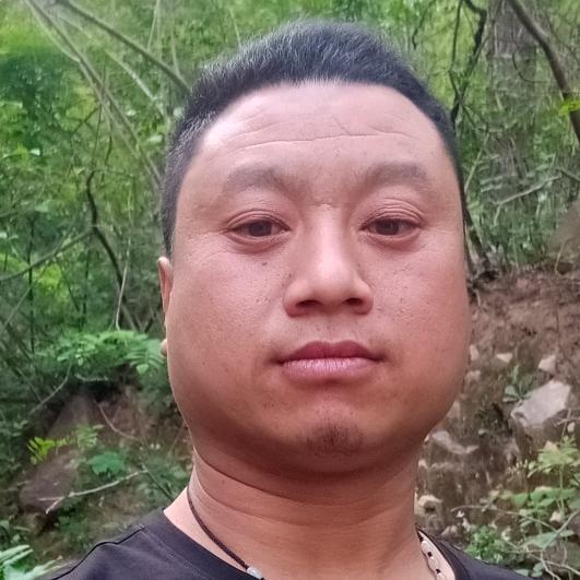 张程        披着羊皮的狼