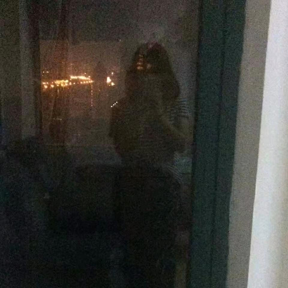 一只毛毛球