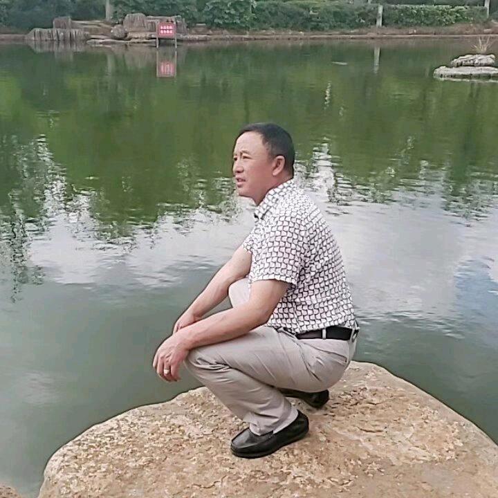 紫银魔芋