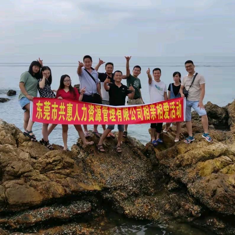 东莞市共惠信息咨询有限公司